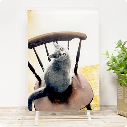 スマホの愛犬・愛猫写真で作るメモリアルグッズ