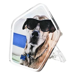 愛犬 アクリル 3Way 五角形