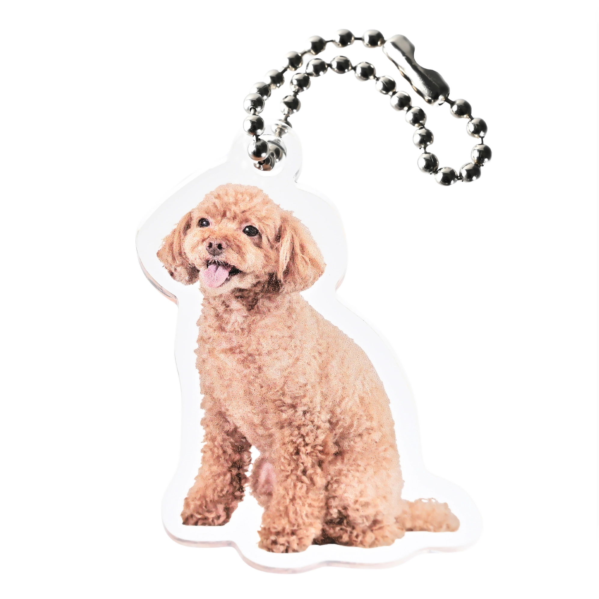 愛犬 アクリルキーホルダー フリーカット