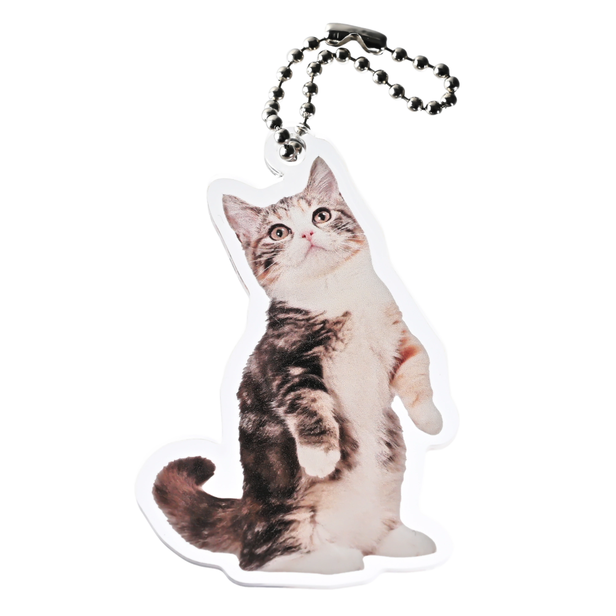 愛猫 アクリルキーホルダー フリーカット