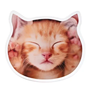 アクリル クリップ＆バッジ 動物型