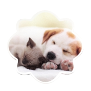 うちの子 アクリルマグネット 花びら型