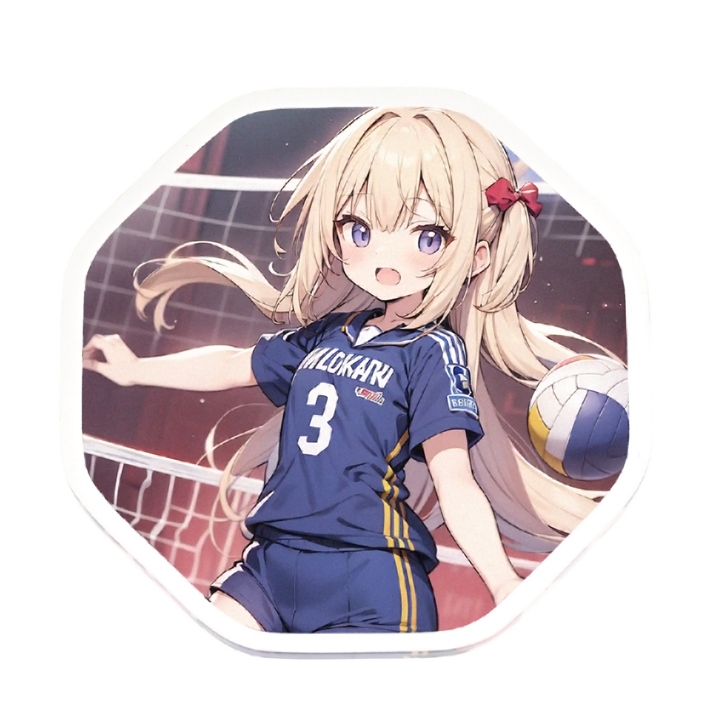 同人 アクリルマグネット 八角形